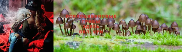 mdma Гусиноозёрск
