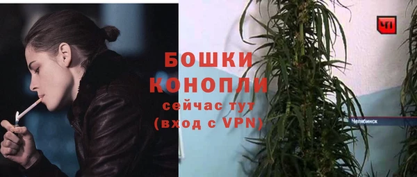 спиды Гусев