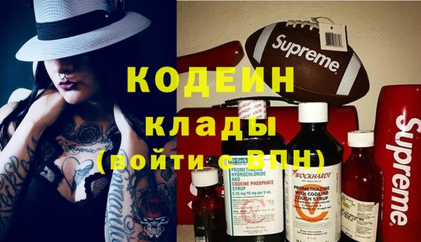 спиды Гусев