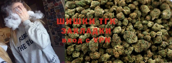 спиды Гусев