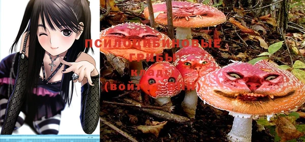 mdma Гусиноозёрск