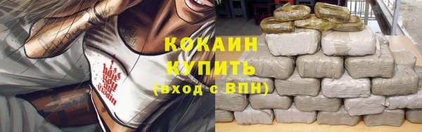 спиды Гусев