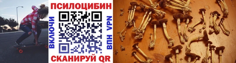 Купить закладки  Шатура  Галлюциногенные грибы мухоморы 